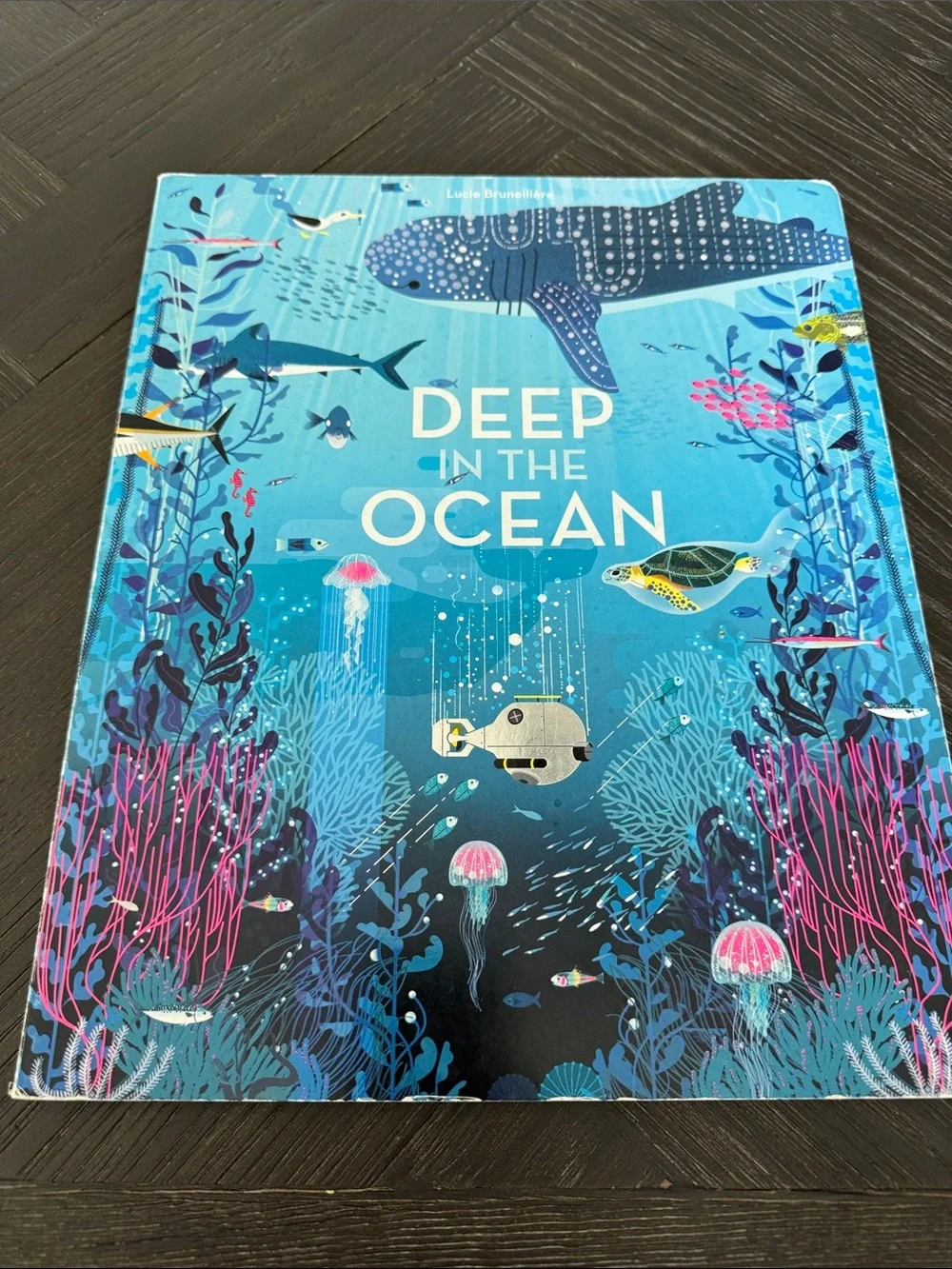 Kids Book Bundle Sharks Ocean Usborne Lift Flap City Chickapig Hardcover Lot